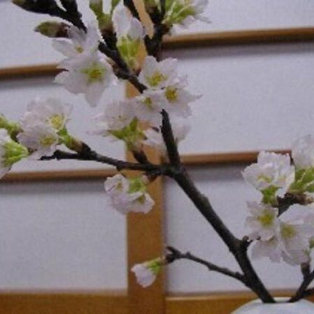 Wakaba Ryokan / Vacation Stay 29370 Sakata Bagian luar foto